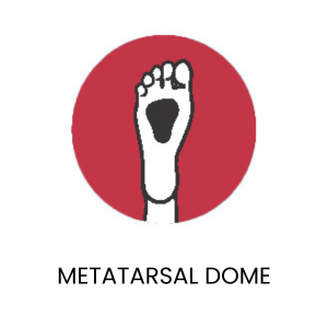 metatarsal dome